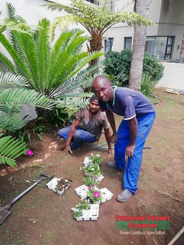 Stepping Stones Gardens Garden Services in Johannesburg South