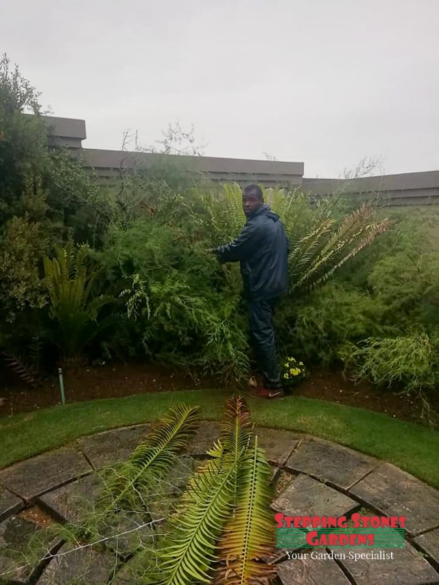 Stepping Stones Gardens Garden Services in Johannesburg South