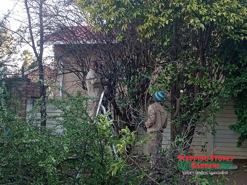 Stepping Stones Gardens Garden Services in Johannesburg South