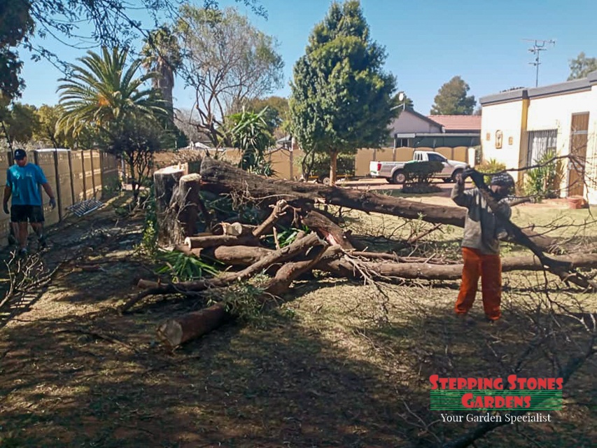 Stepping Stones Gardens Additional Services