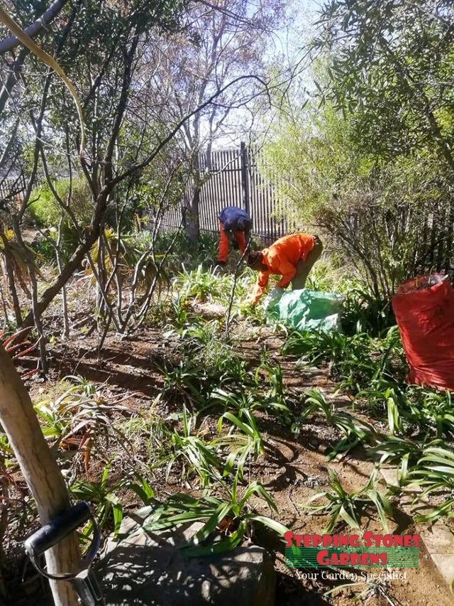 Stepping Stones Gardens Garden Services in Johannesburg South