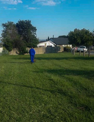 Lawn mowing and care