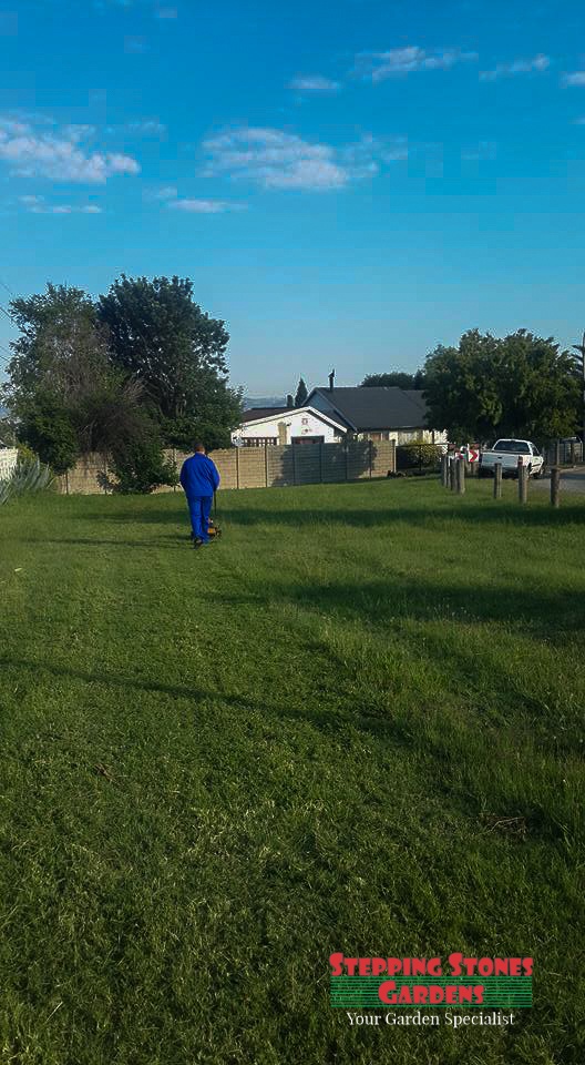 Stepping Stones Gardens Garden Services in Johannesburg South