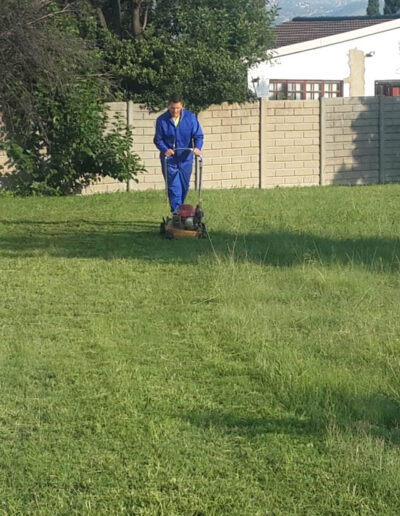 Lawn Mowing Services